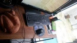 femme nue près d'un ordinateur.jpg