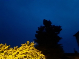 20201027_183001 (1).jpg