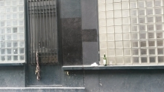 paris, entends-tu leurs cris ?