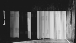 20260221_161926.jpg
