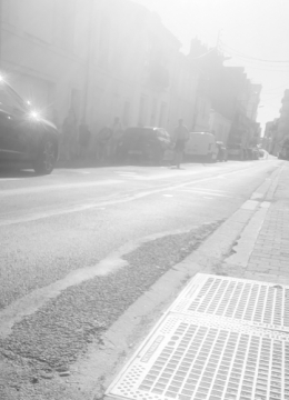 20260419_181310.jpg