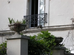Chat Mouzaïa (Small).JPG