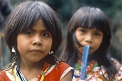 Amazonie2.jpg