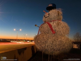 2014-05-10 Bonhomme tumbleweeds (Small).jpg