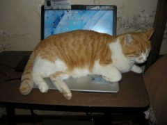 DSCN6252.JPG