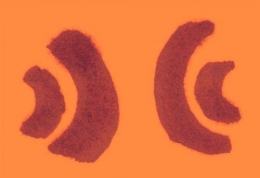 musée quai branly,aborigènes,the river,marie-christine guyon,charles sandison,peabody essex museum
