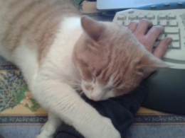 20131206_195528.jpg