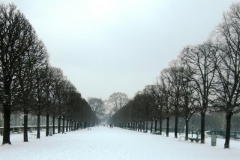Tuileries sans chaises.JPG