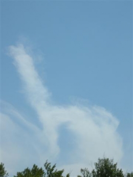 2015-05-23 Nuage chat DSCN8536_3500 (Small).JPG