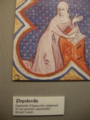 DSCN6215_1241 (Small).JPG