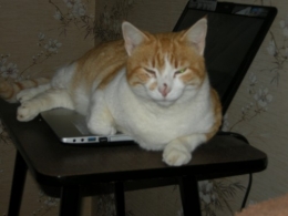 DSCN6253.JPG