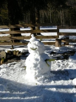 Bonhomme neige Autriche (Small).JPG