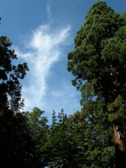 Nuage Abbaye du Val (Small).JPG
