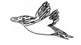 2012-10-29 dessin Pingouin (Small).jpg