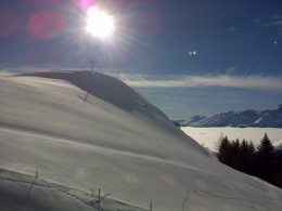 IMG-20171128-01108.jpg
