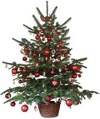 Sapin de Noël.jpg
