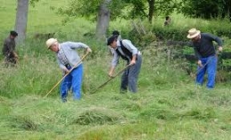 Les foins dans l'ancien temps.jpg
