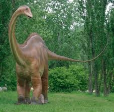 Diplodocus.jpg