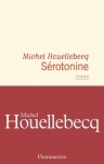 Michel Houellebecq, Blanchot, Angot, Goethe 