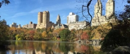 f4eb9b0e3e525b4action_sejours_new_york_brooklyn_central_park.jpg