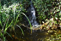anniversaire Mamy,chateau d'eau,jardin automne 085.JPG