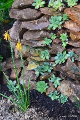 l'ange,puces Cadouin,Romane,piscine,phlox,échinacéas 011.JPG