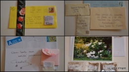 2014-02-03 enveloppes SOL2014,jardin,Nikky5.jpg