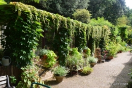jardin juillet 038.JPG
