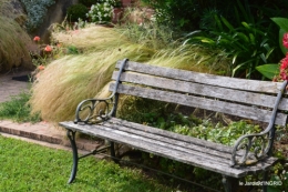 potager,chenille,pour le 18 juin,tour du jardin 072.JPG