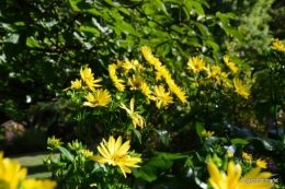 coulobre,Romane,jardin,Lamonzie Monstatruc,les filles 060.JPG