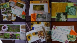 2014-02-03 enveloppes SOL2014,jardin,Nikky10.jpg