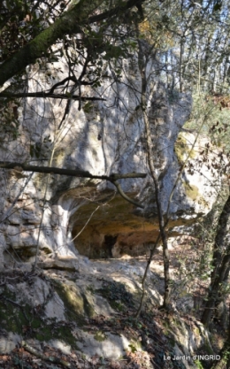 jardiland,déco noel,colline,pt houx 128.JPG