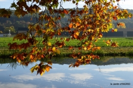 jardin automne,voisinage,canal 055.JPG