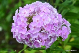 tour de France,jardinde Mme Peyrichou 017.JPG