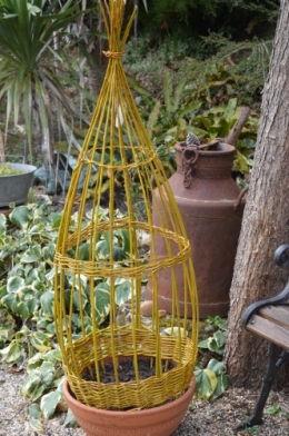 les euphorbes,jacinthes,jonquilles,forsythia,cognassier du japon,coronille,cardamine,magnolia,coucou,mahonia,érable