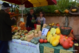 fête de la citrouille,jardinage,jardin 032.JPG