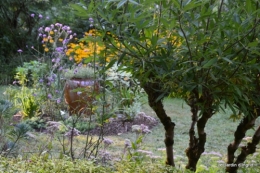 mon coin,Monique,les oies,mon jardin 049.JPG