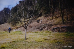 jardin,le cypres chauve,puces Mouleydier,vieilles photos 136.JPG