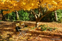 troc,automne,serre 075.JPG