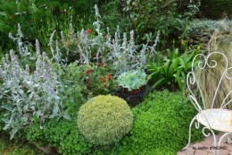 potager,chenille,pour le 18 juin,tour du jardin 046.JPG