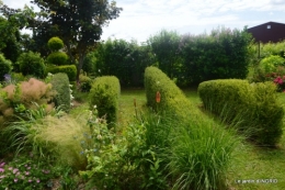 inondation,jardin,oeufs cygnes,chez Nathalie 094.JPG