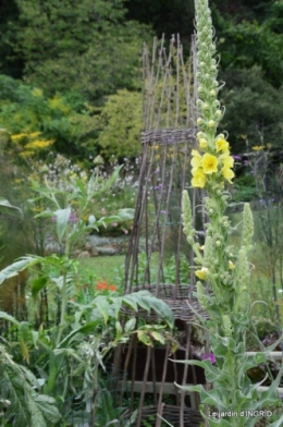 juin jardin,bouquet,sophie 080.JPG