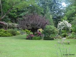 tour jardin de mai ,les épouvantails,préparation 044.JPG
