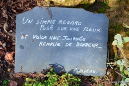 le dernier jour de 2013 059.JPG