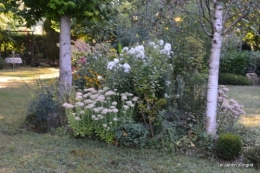 mon coin,Monique,les oies,mon jardin 013.JPG