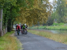Neuvic,jardin,champignons canal 096.JPG