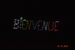 ferme illuminée,scalaires 059.JPG