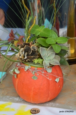 fête de la citrouille,jardinage,jardin 057.JPG