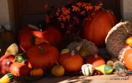 jardin octobre 075.JPG
