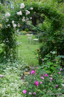 les roses de mon jardin